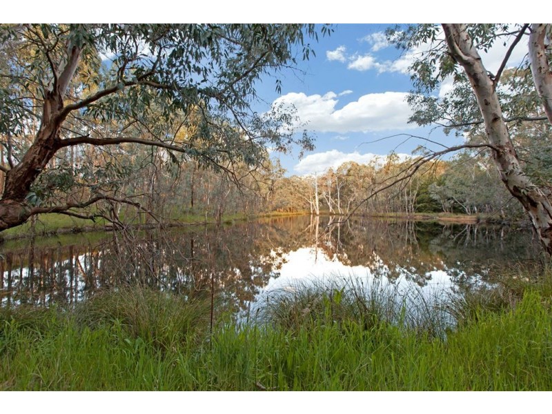 38 Kings Road, Woodside SA 5244