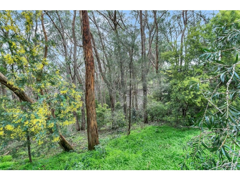 138 Longwood Road, Heathfield SA 5153