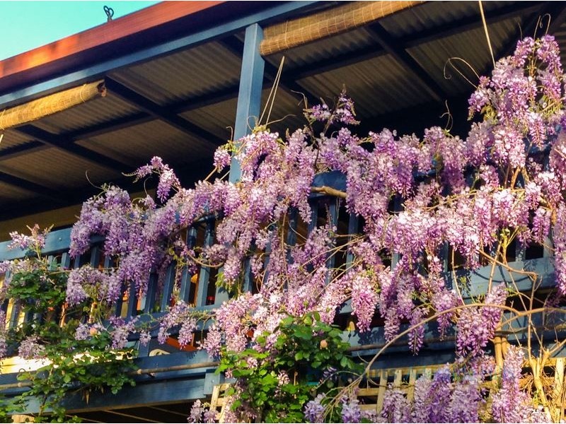 5 St Barberie Drive, Crafers SA 5152