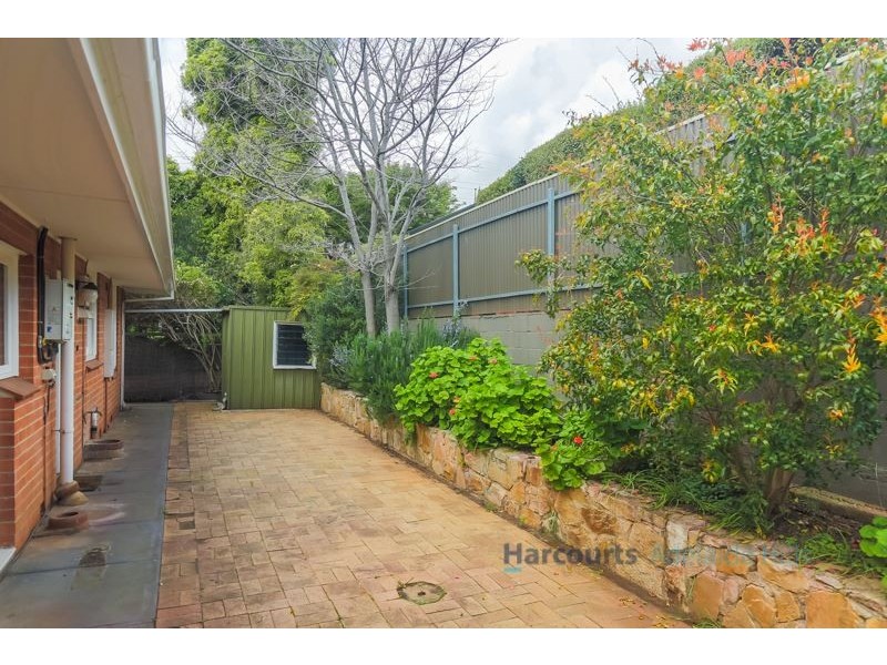 19 Blairgowrie Road, St Georges SA 5064