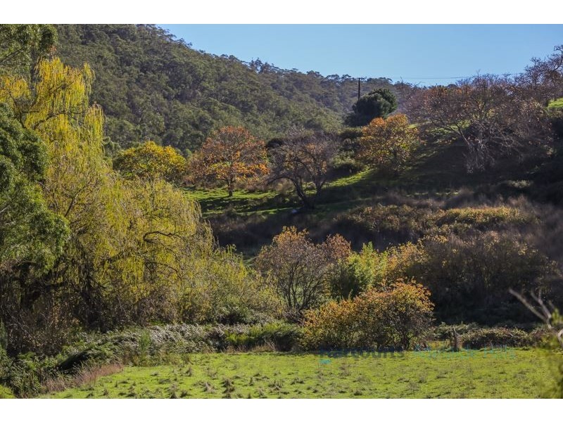 Lot 41 Scott Creek Road, Scott Creek SA 5153