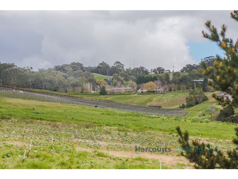 58 Tregarthen Road, Summertown SA 5141