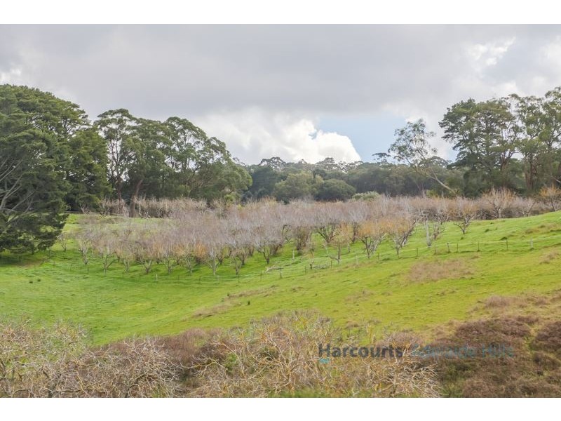 58 Tregarthen Road, Summertown SA 5141