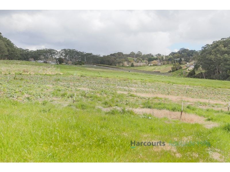 58 Tregarthen Road, Summertown SA 5141