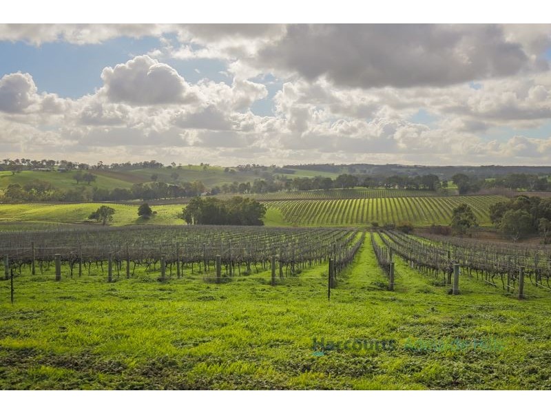 127 Quinns Road, Forreston SA 5233