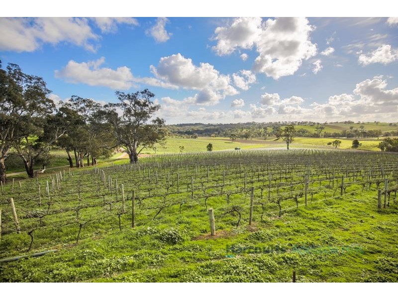 127 Quinns Road, Forreston SA 5233