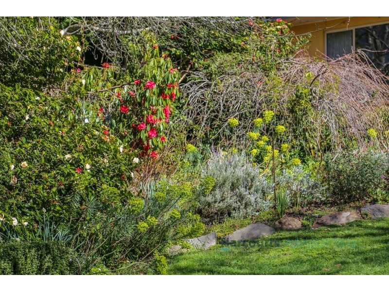 4 Schocroft Avenue, Crafers SA 5152