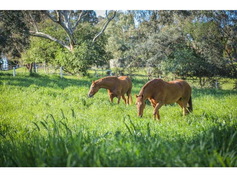 172 One Tree Hill Road, Golden Grove SA 5125