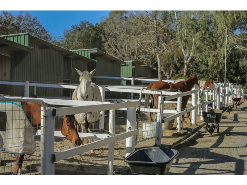 172 One Tree Hill Road, Golden Grove SA 5125