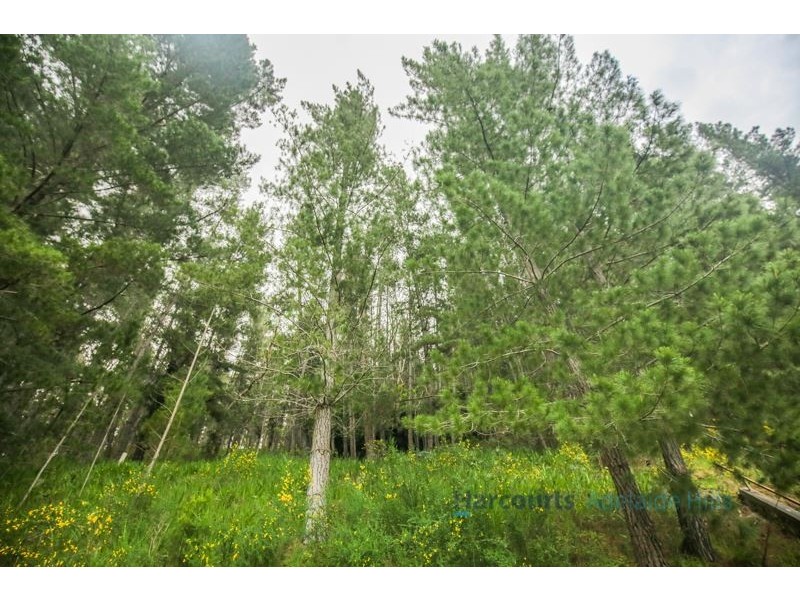 820 Lobethal Road, Basket Range SA 5138