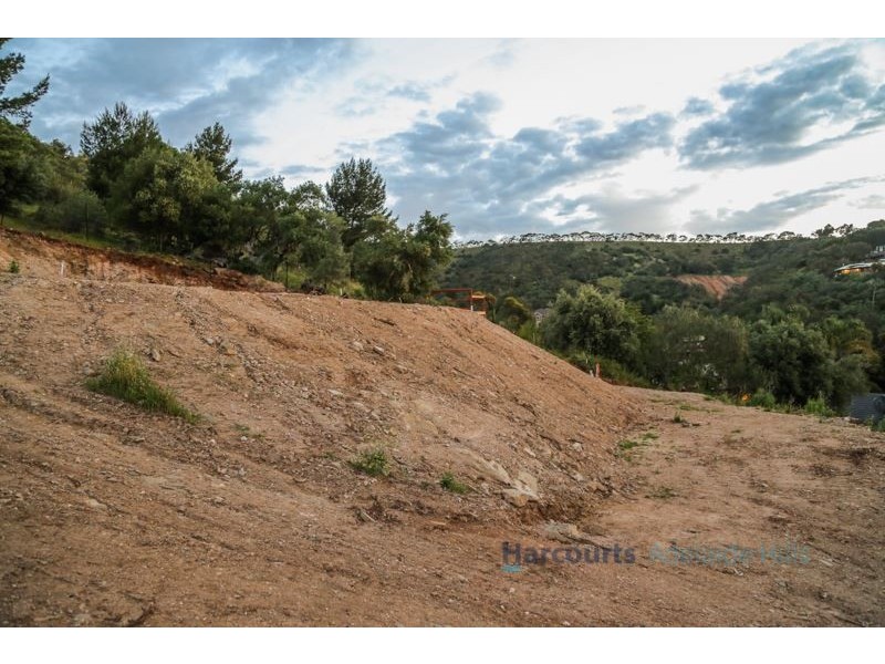 45A Wyfield Street, Wattle Park SA 5066