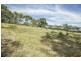 Lot 8 Royal Avenue, Burnside SA 5066