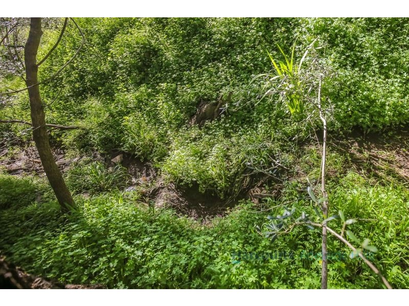 Lot 8 Royal Avenue, Burnside SA 5066