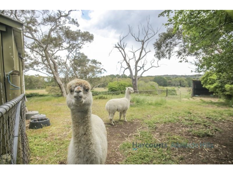 24 Oxford Road, Aldgate SA 5154