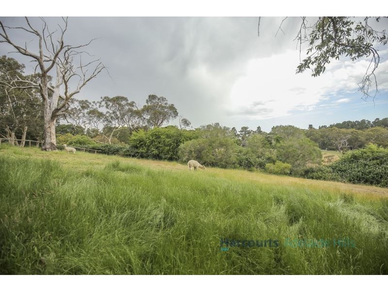 24 Oxford Road, Aldgate SA 5154