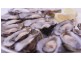 Lots 601 & 602 Martindale Street, Coffin Bay SA 5607