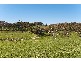 Lot 4 & 5 Aldgate Strathalbyn Road, Echunga SA 5153
