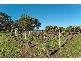 Lot 4 & 5 Aldgate Strathalbyn Road, Echunga SA 5153