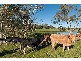 Lot 4 & 5 Aldgate Strathalbyn Road, Echunga SA 5153