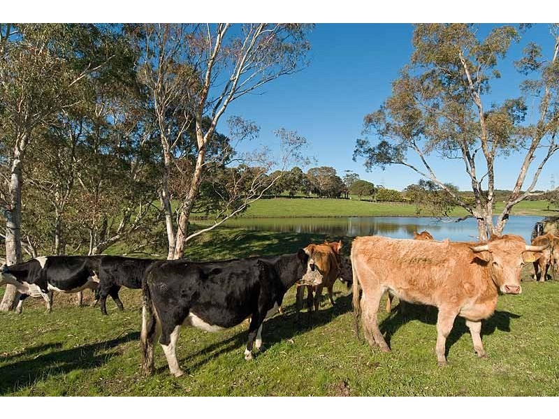 Lot 4 & 5 Aldgate Strathalbyn Road, Echunga SA 5153