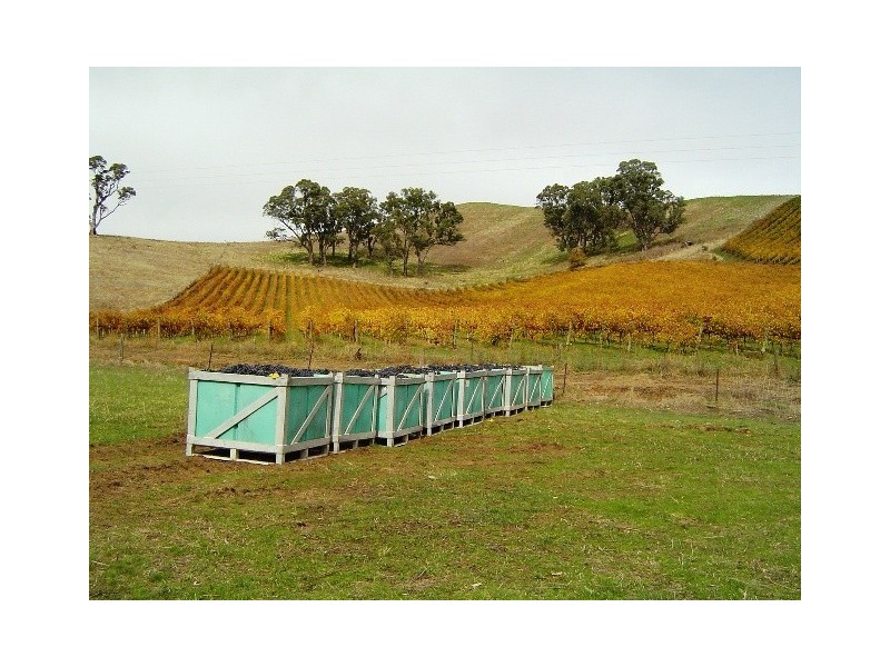 Lot Gorge, Cudlee Creek SA 5232