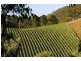 Lot Gorge, Cudlee Creek SA 5232