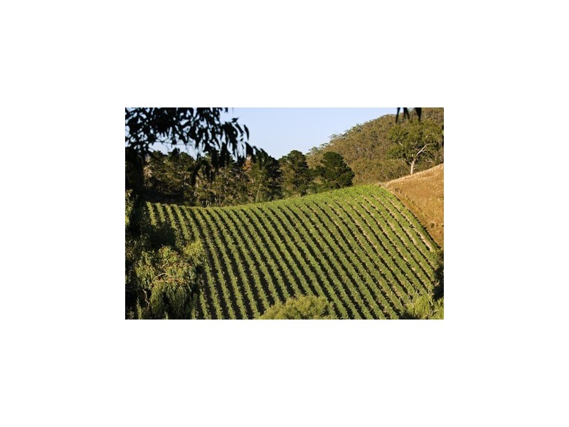 Lot Gorge, Cudlee Creek SA 5232