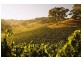 Lot Gorge, Cudlee Creek SA 5232