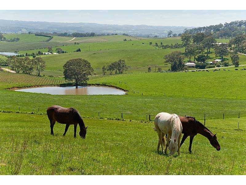 Lot 60 Leonard Road, Hahndorf SA 5245