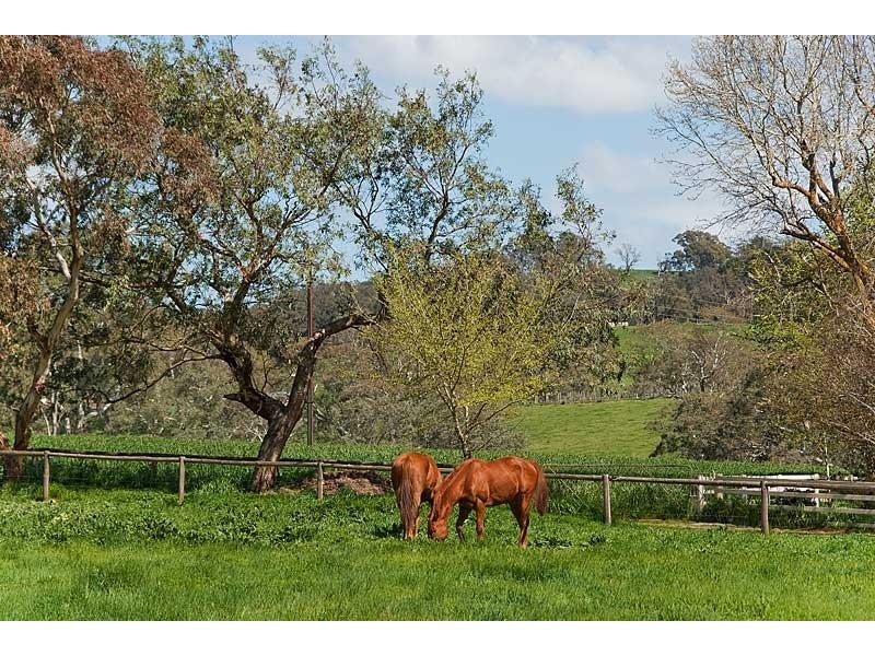 Lot 7 Newenham Road, Mount Barker SA 5251