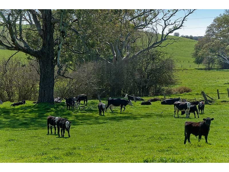 Lot 7 Newenham Road, Mount Barker SA 5251