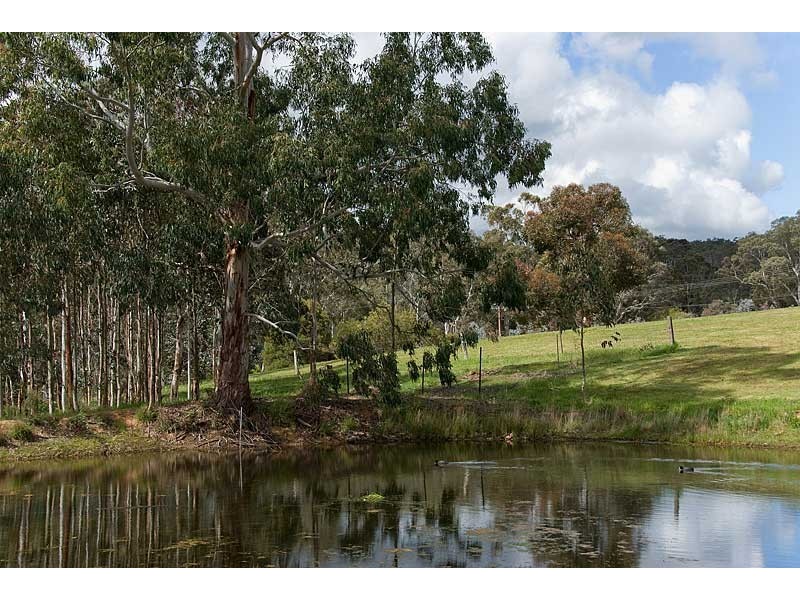 Sec 427 Saw Mill Gully Road, Hahndorf SA 5245