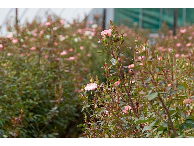 Sec 427 Saw Mill Gully Road, Hahndorf SA 5245