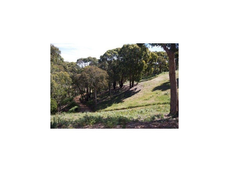 Lot 71 Upper Sturt Road, Crafers West SA 5152