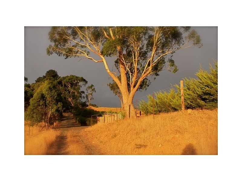 Lot 71 Upper Sturt Road, Crafers West SA 5152