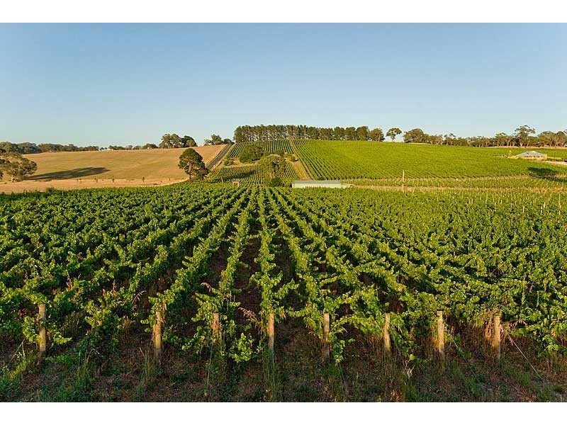 Lot 88 Jungfer Road, Lobethal SA 5241