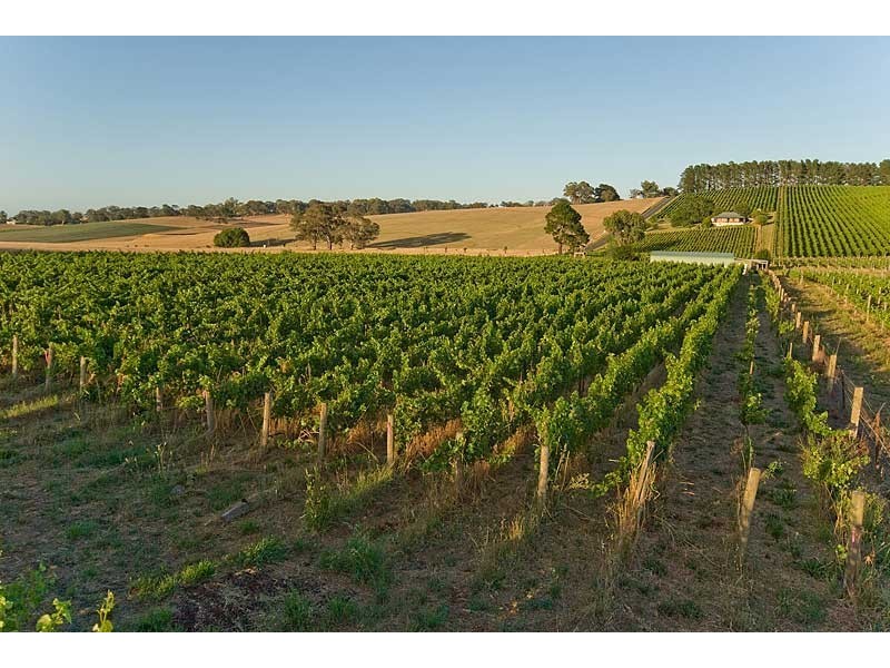 Lot 88 Jungfer Road, Lobethal SA 5241