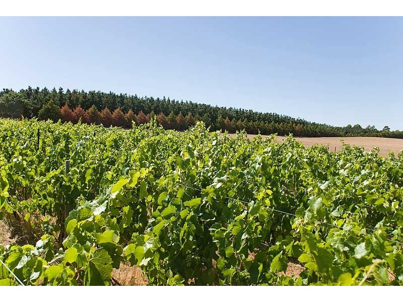 Lot 88 Jungfer Road, Lobethal SA 5241