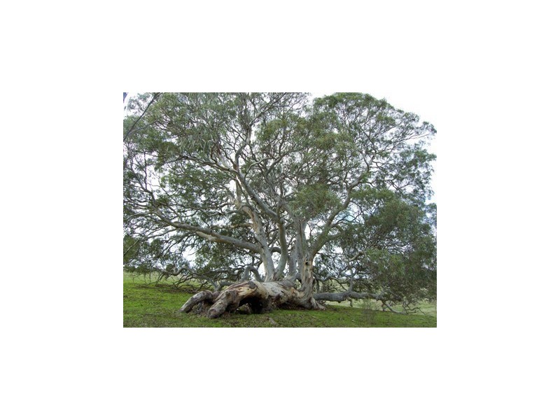 Sec 350 The Glen Road, Harrogate SA 5244