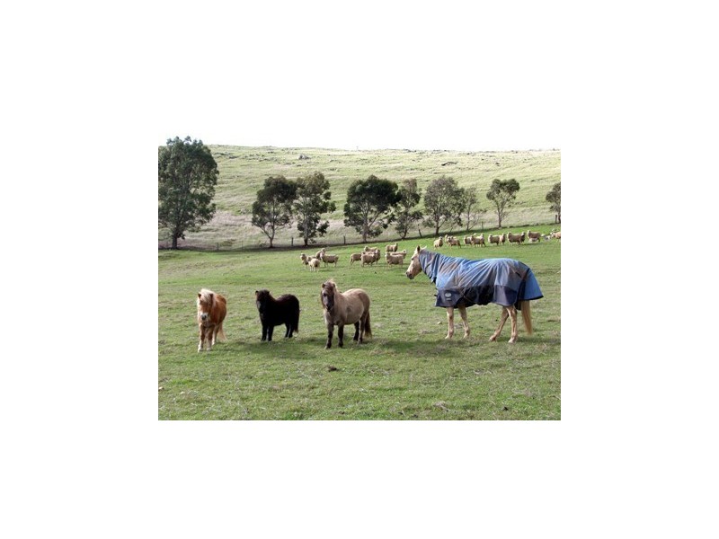 Sec 350 The Glen Road, Harrogate SA 5244