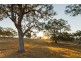Lot 7 Bird In Hand Road, Woodside SA 5244