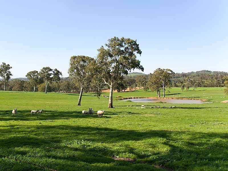 Sec 5225 Whitegum Road, Oakbank SA 5243