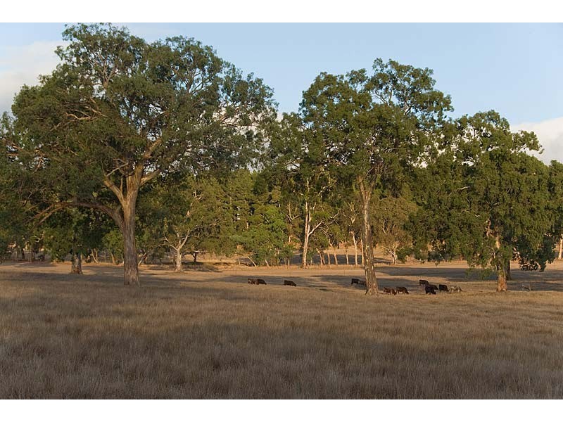 Sec 5225 Whitegum Road, Oakbank SA 5243