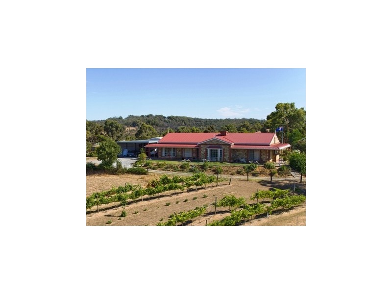 Lot 110 Dashwood Gully Road, Kangarilla SA 5157