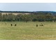 Lot 20 Kondoparinga Road, Meadows SA 5201