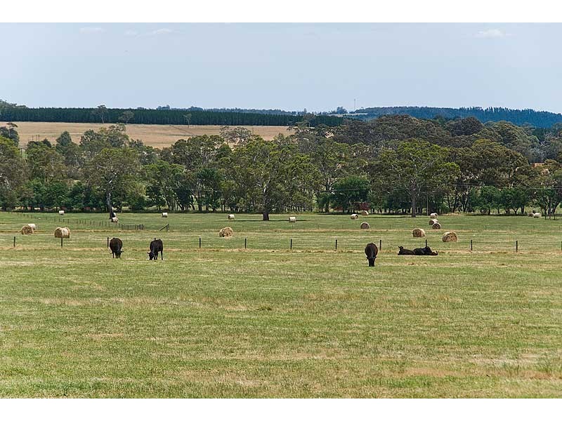 Lot 20 Kondoparinga Road, Meadows SA 5201