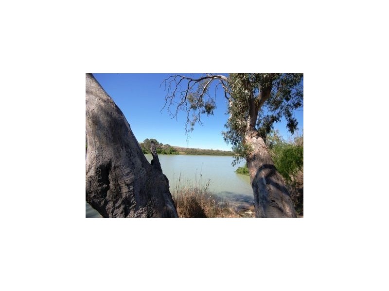 Lot 56 Perseverance Crt, Mannum SA 5238
