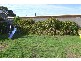 107 Lewis Road, Glynde SA 5070