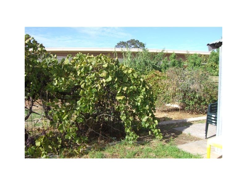 107 Lewis Road, Glynde SA 5070
