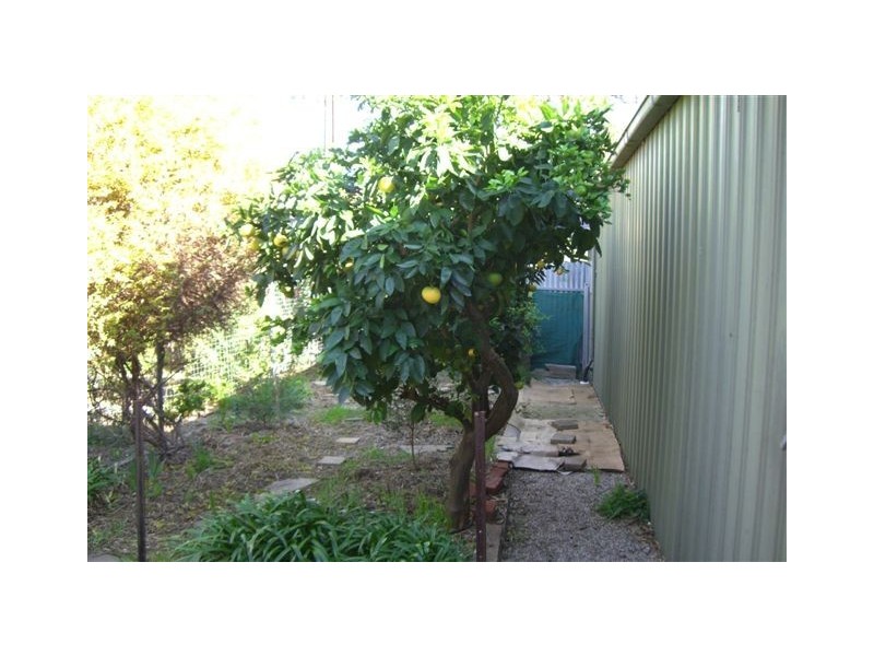 21 Brookside Avenue, Tranmere SA 5073